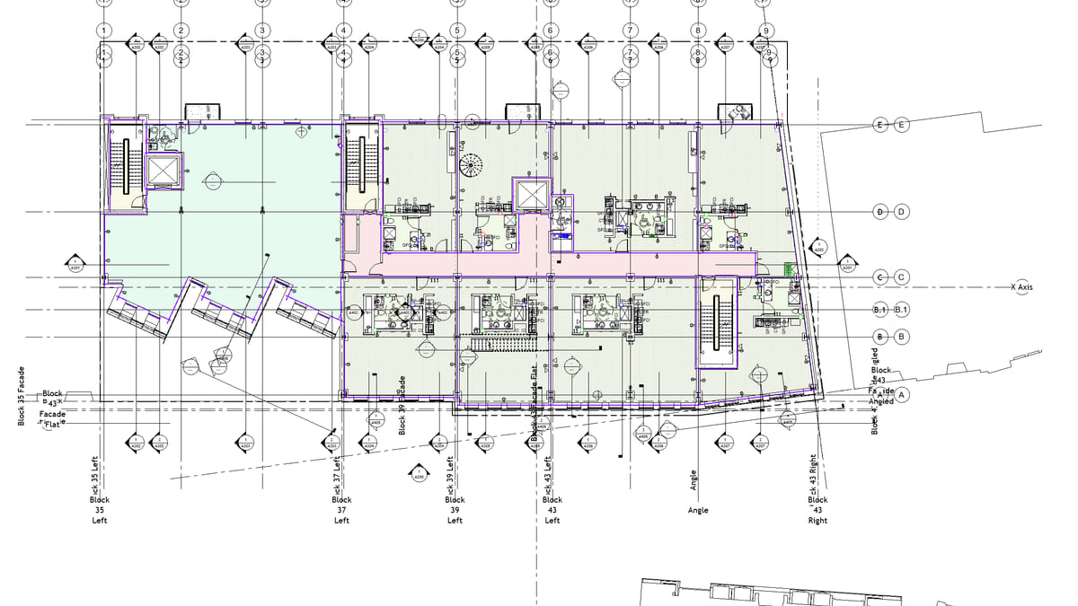 A Revit Rentable area plan, tenancy boundaries picked out in purple over colour-filled areas